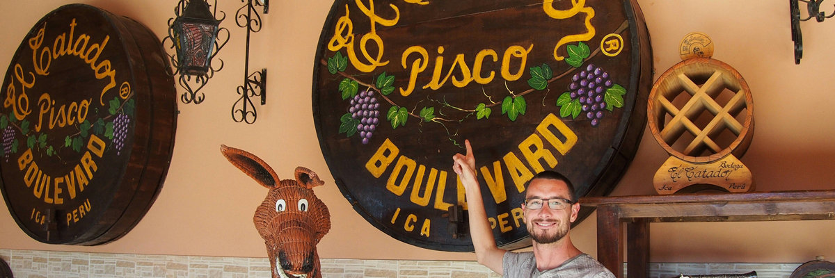 Ica + Ballestas Islands + Paracas from Lima 2 days and 1 night in Lima